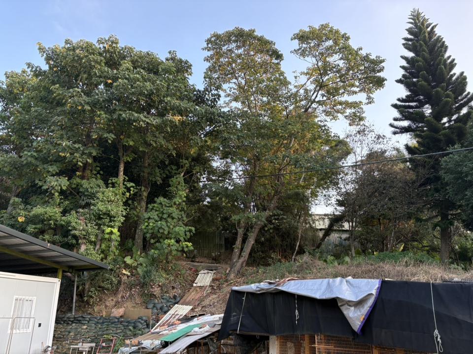 園藝維護案件圖片