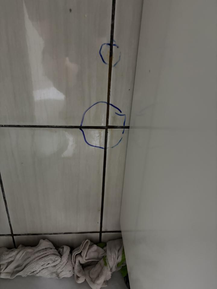 抓漏案件圖片 抓漏案件圖片