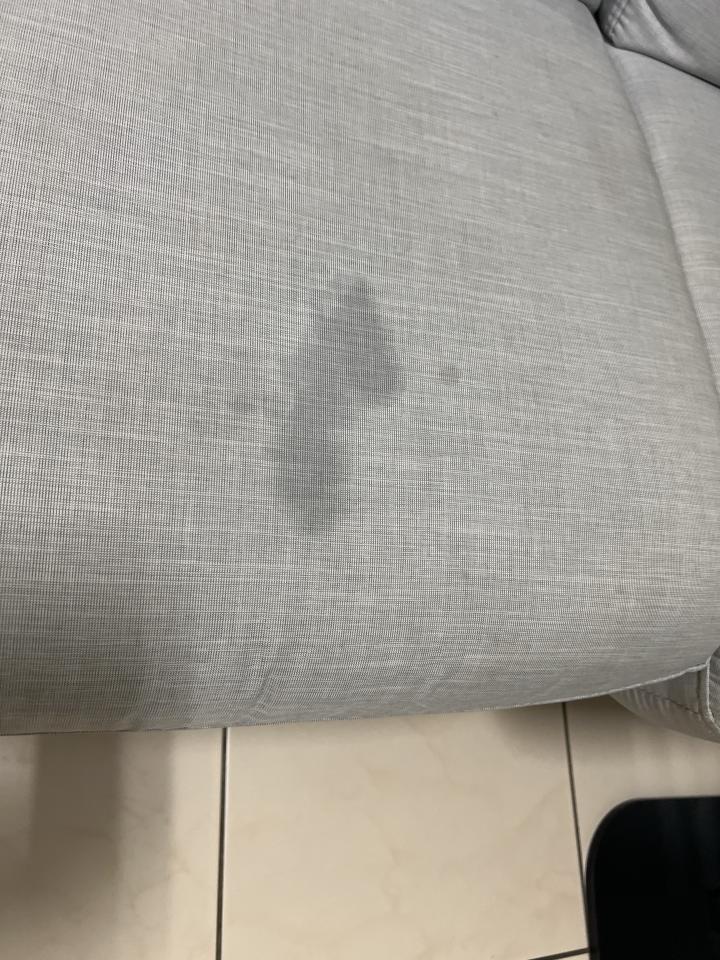 沙發清潔案件圖片