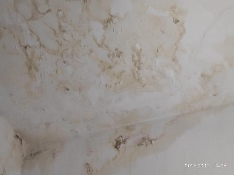 漏水處理案件圖片 漏水處理案件圖片