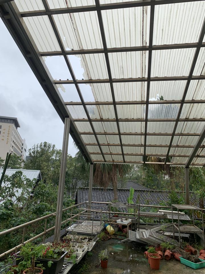遮雨棚安裝案件圖片