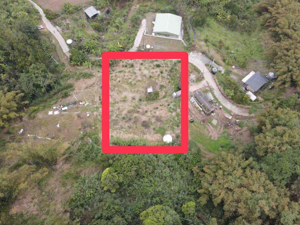 園藝維護案件圖片 園藝維護案件圖片