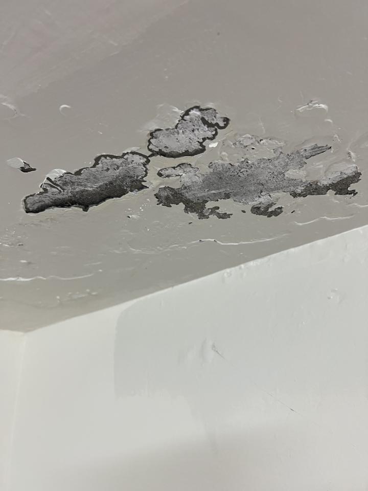 油漆工程案件圖片 油漆工程案件圖片