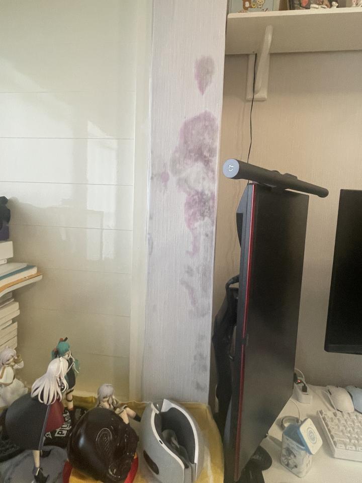 漏水處理案件圖片