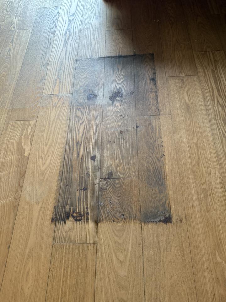 木地板打磨翻新案件圖片