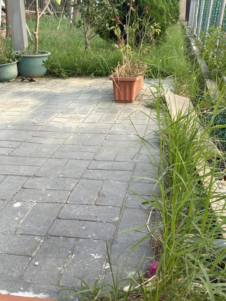 園藝維護案件圖片 園藝維護案件圖片