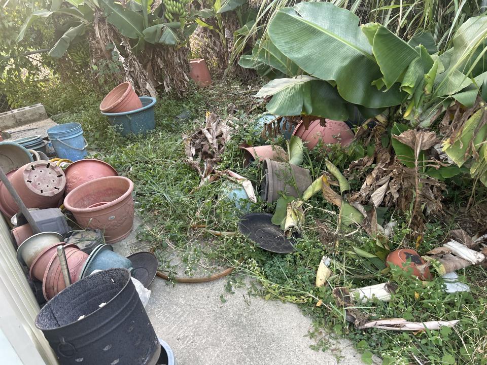 園藝維護案件圖片 園藝維護案件圖片