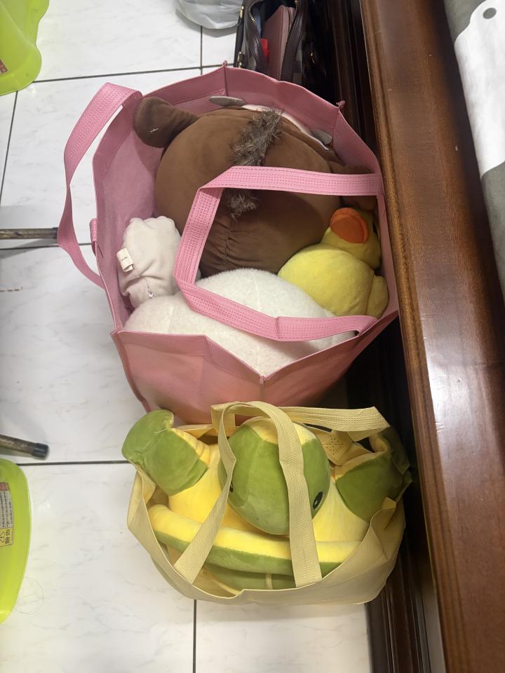 代收垃圾案件圖片