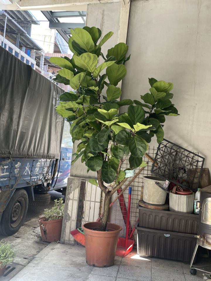 載貨運輸服務案件圖片