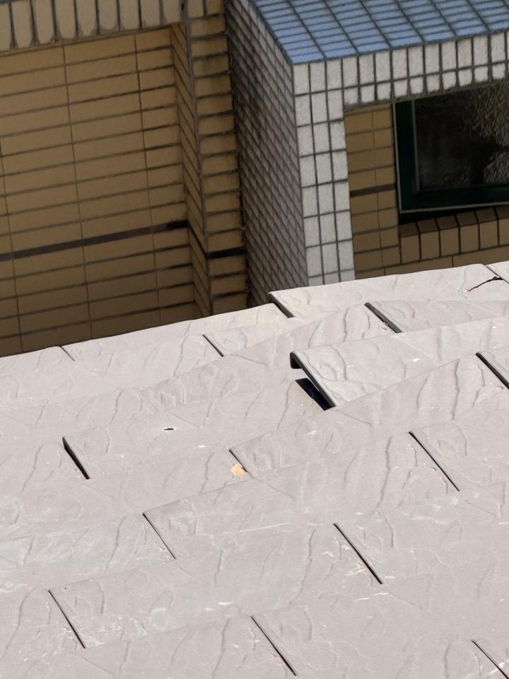 屋瓦翻修案件圖片