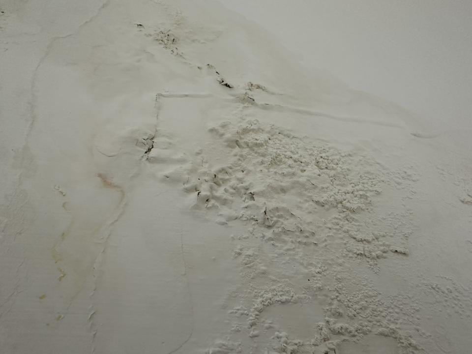 漏水鑑定案件圖片 漏水鑑定案件圖片
