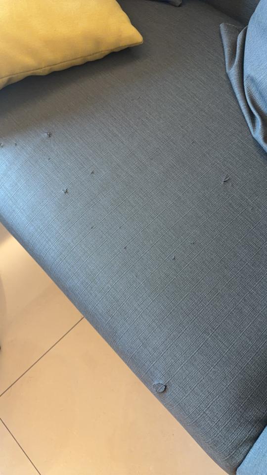 沙發修理案件圖片 沙發修理案件圖片