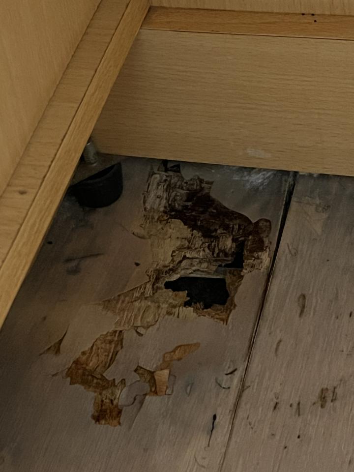 地板維修案件圖片