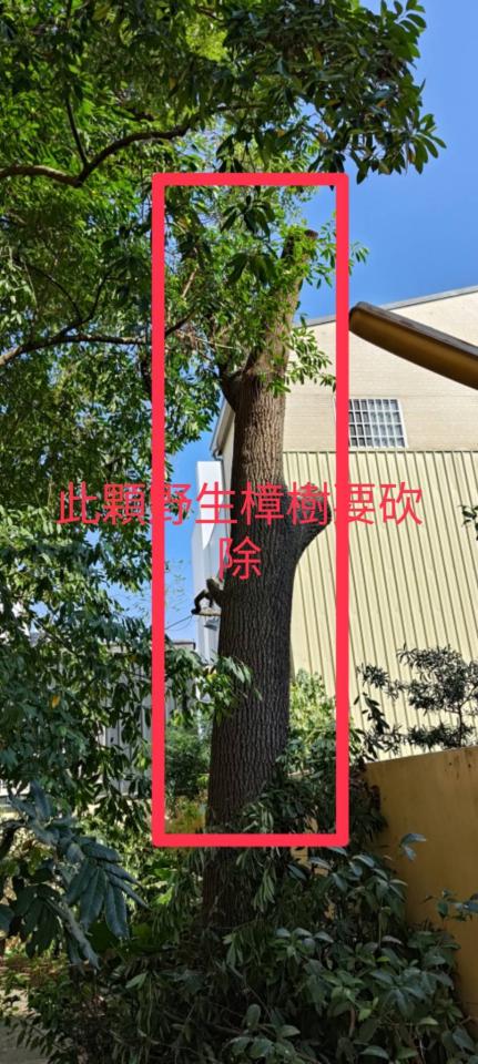 園藝維護案件圖片