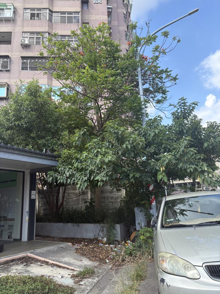 園藝維護案件圖片