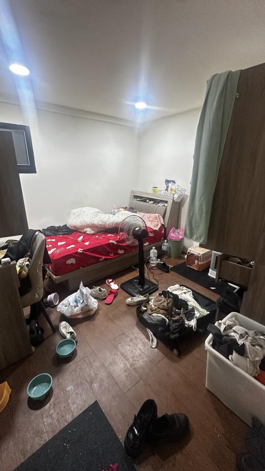 搬家案件圖片 搬家案件圖片