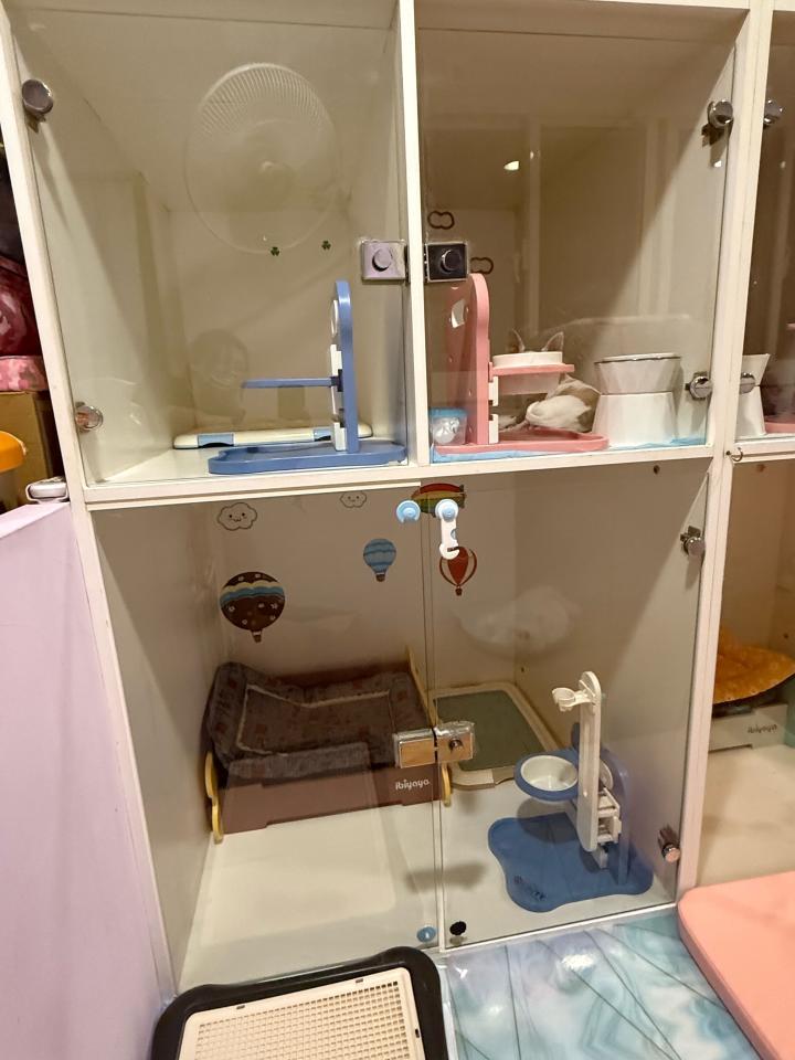 木工施工案件圖片
