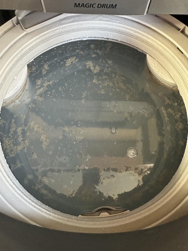 洗衣機清洗案件圖片 洗衣機清洗案件圖片