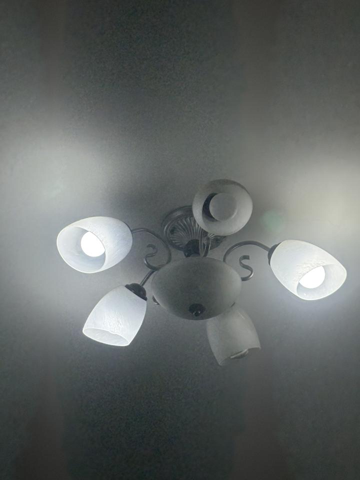 燈具安裝案件圖片