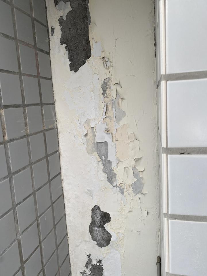 壁癌處理案件圖片 壁癌處理案件圖片