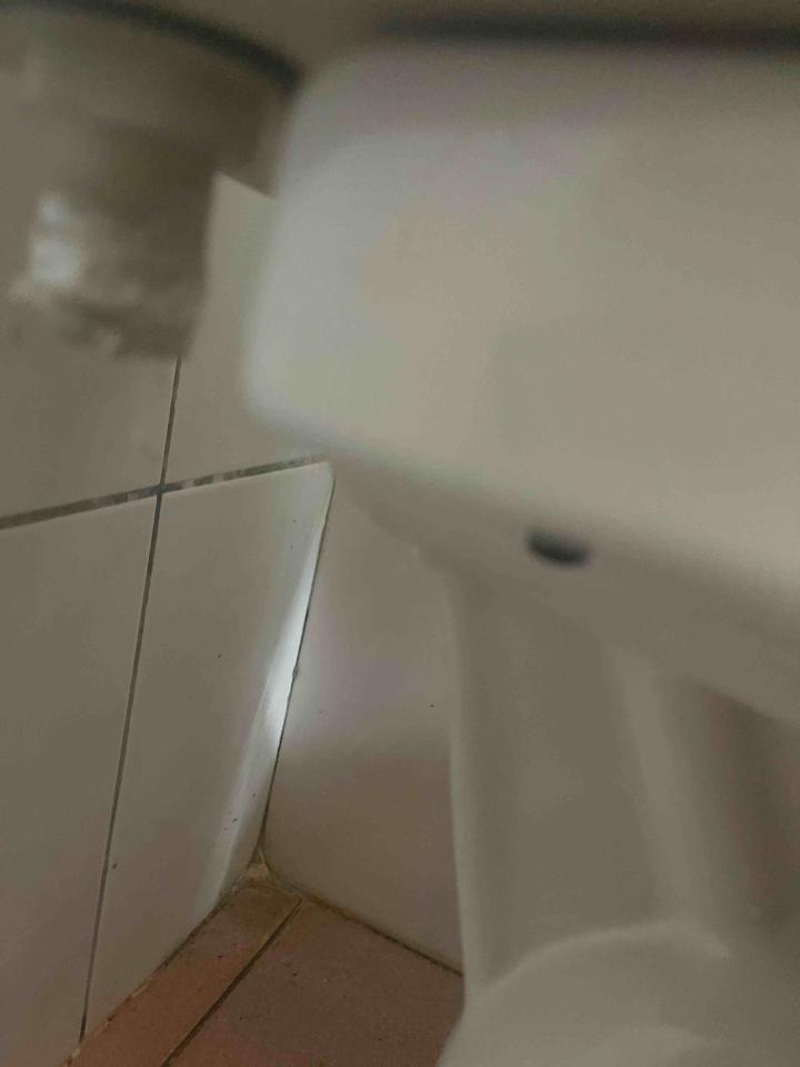 水管維修案件圖片 水管維修案件圖片