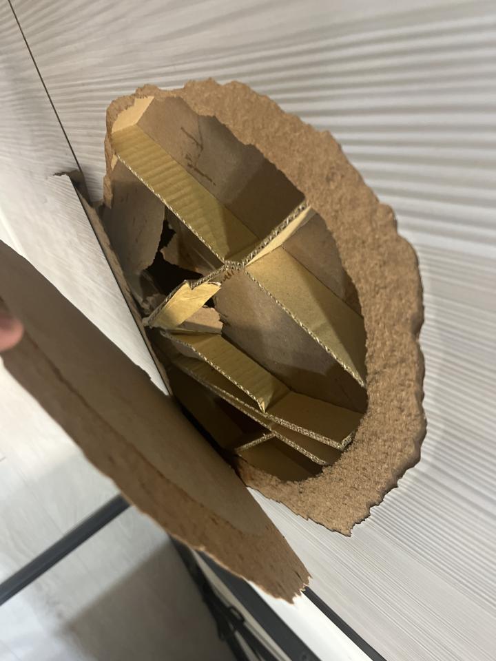木工施工案件圖片 木工施工案件圖片
