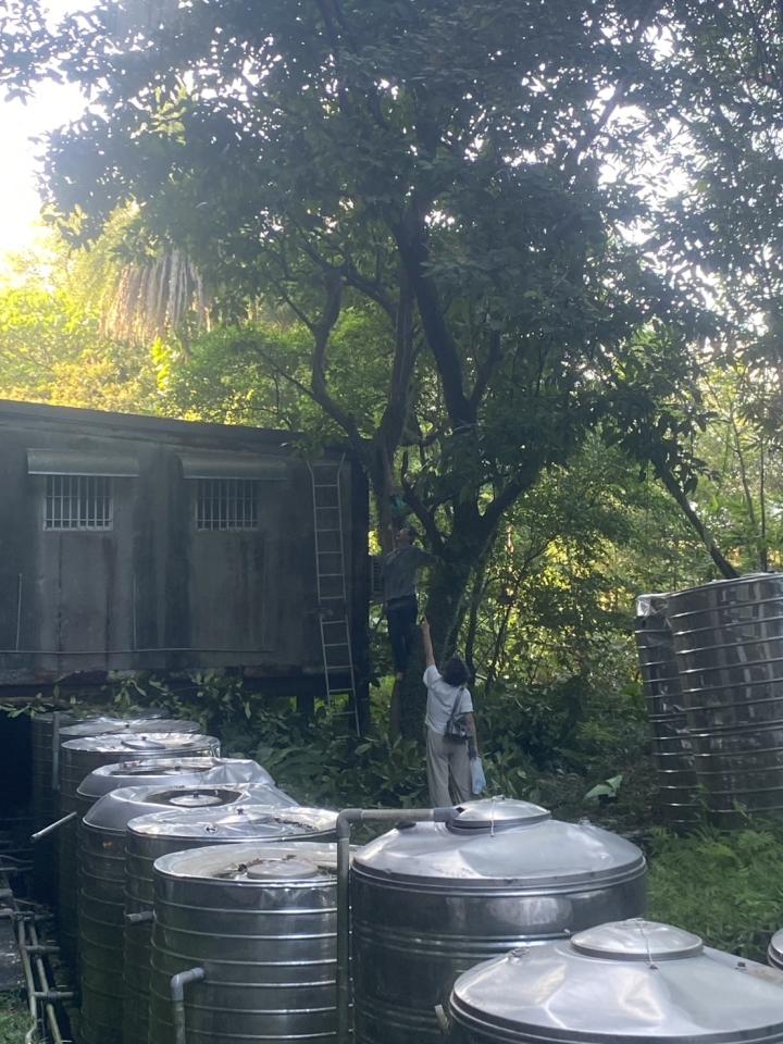 園藝維護案件圖片