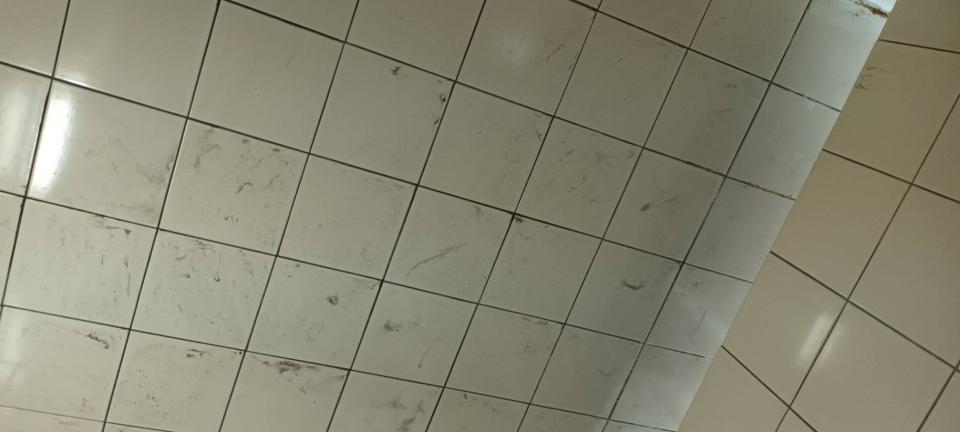 抓漏案件圖片 抓漏案件圖片