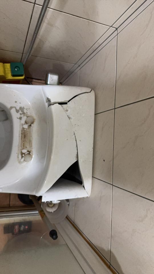 馬桶裝修案件圖片
