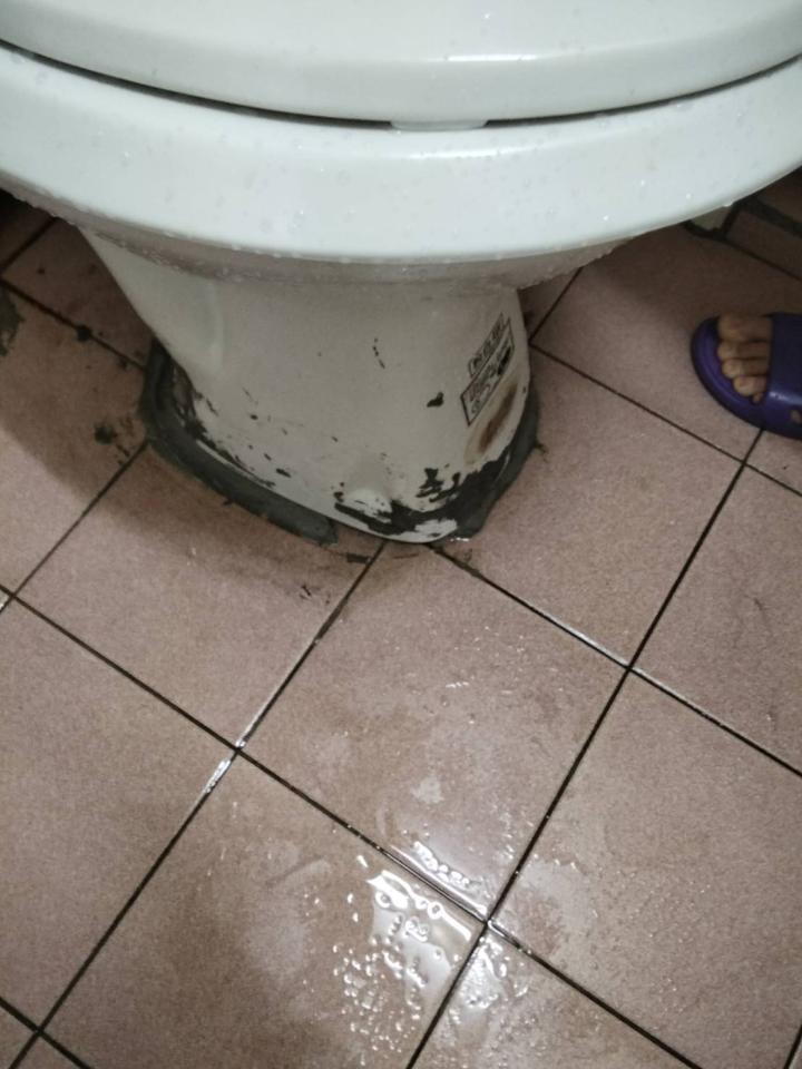 馬桶裝修案件圖片