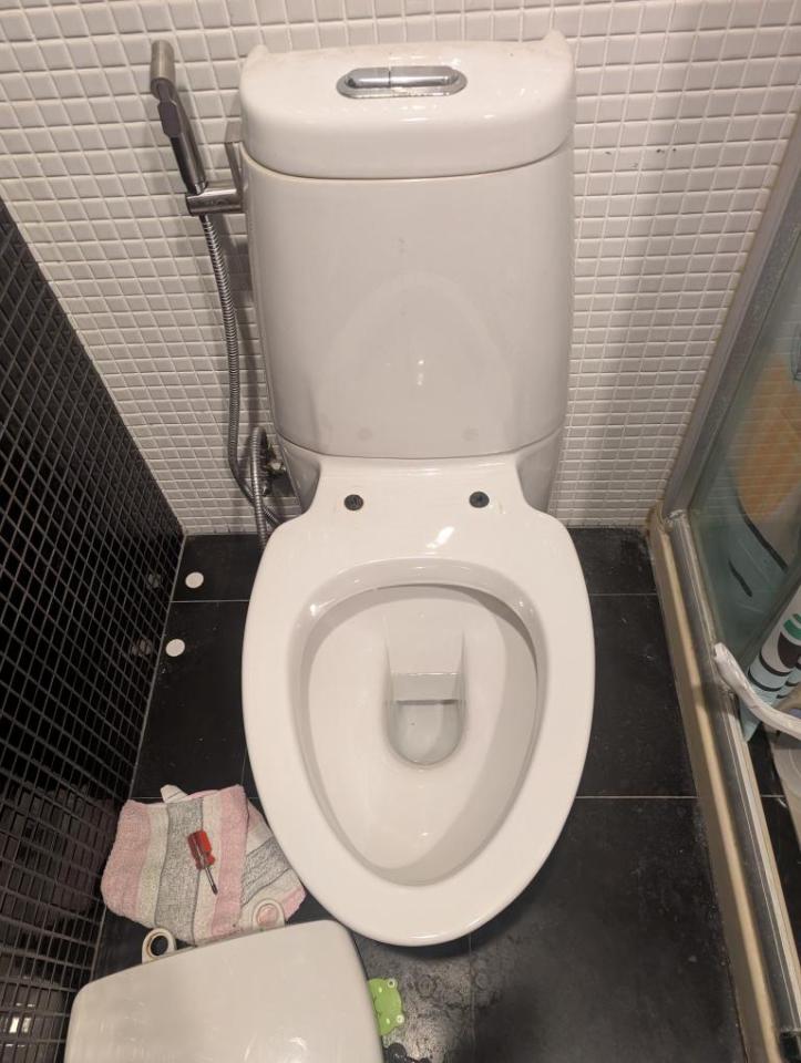 馬桶裝修案件圖片