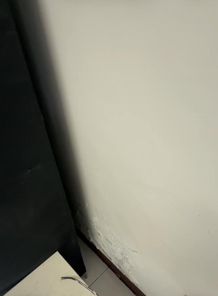 壁癌處理案件圖片 壁癌處理案件圖片