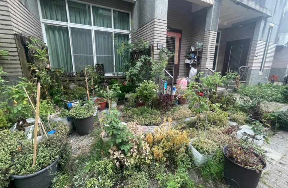 園藝設計案件圖片