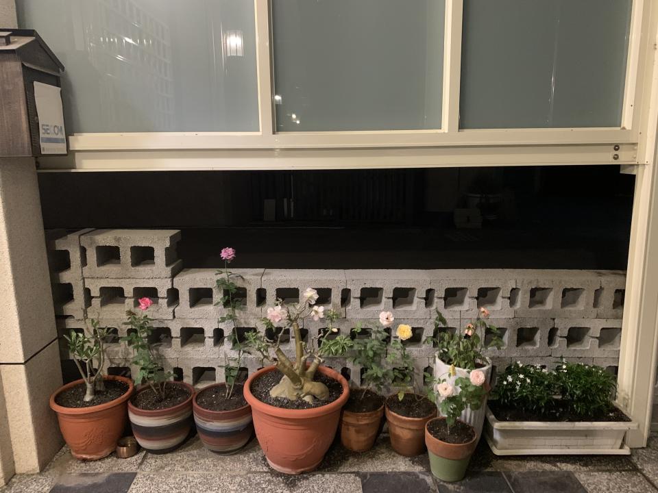 花園自動灑水系統案件圖片 花園自動灑水系統案件圖片