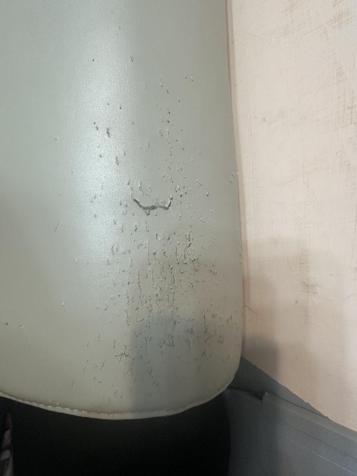 沙發修理案件圖片