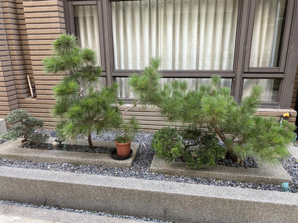 園藝維護案件圖片 園藝維護案件圖片