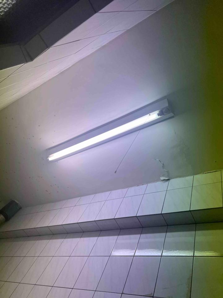 電線裝修案件圖片 電線裝修案件圖片