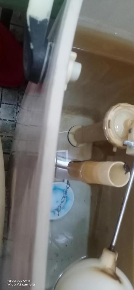 馬桶裝修案件圖片