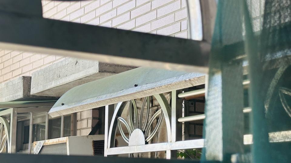 採光罩案件圖片