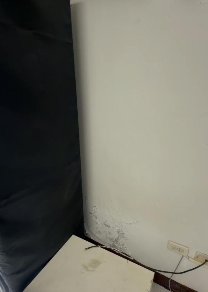 壁癌處理案件圖片 壁癌處理案件圖片