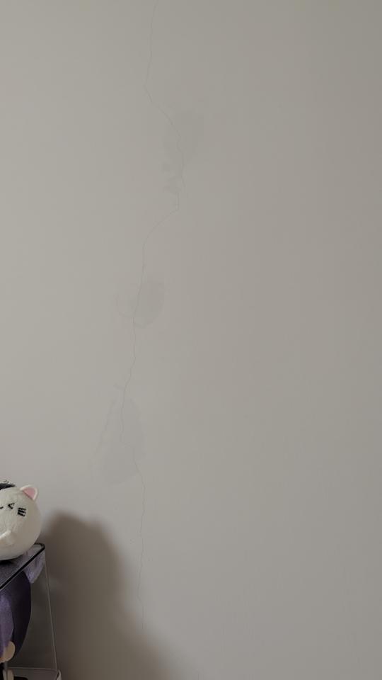 抓漏案件圖片