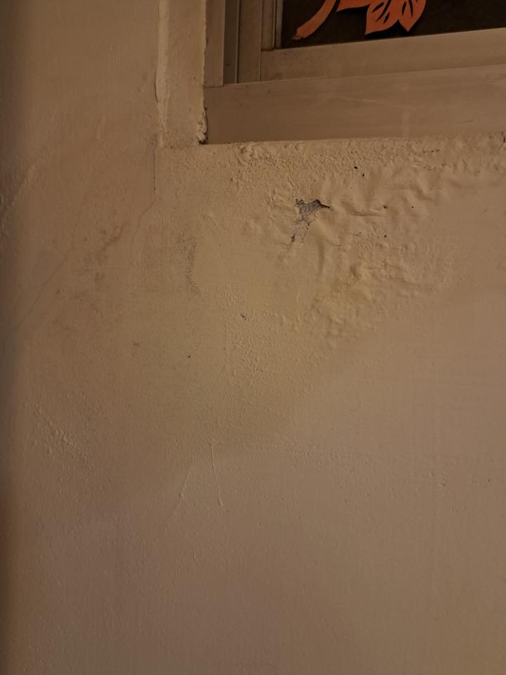 抓漏案件圖片 抓漏案件圖片