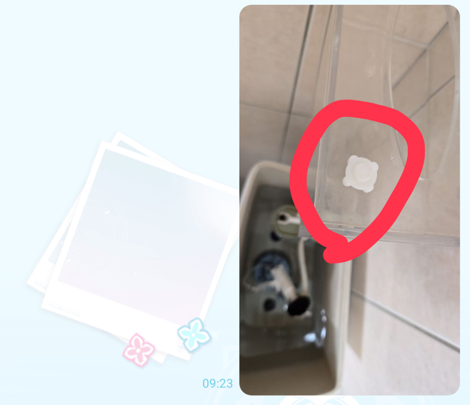 馬桶裝修案件圖片