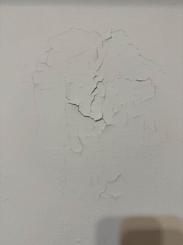 油漆工程案件圖片 油漆工程案件圖片