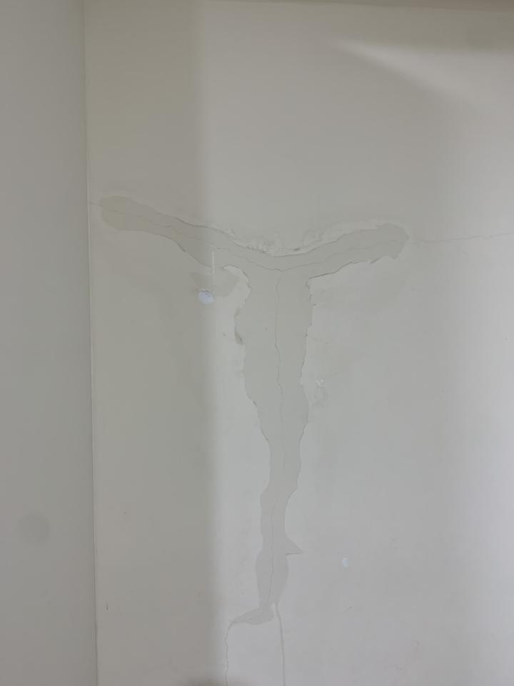 抓漏案件圖片 抓漏案件圖片