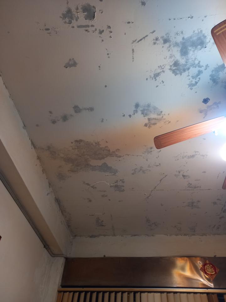 抓漏案件圖片 抓漏案件圖片