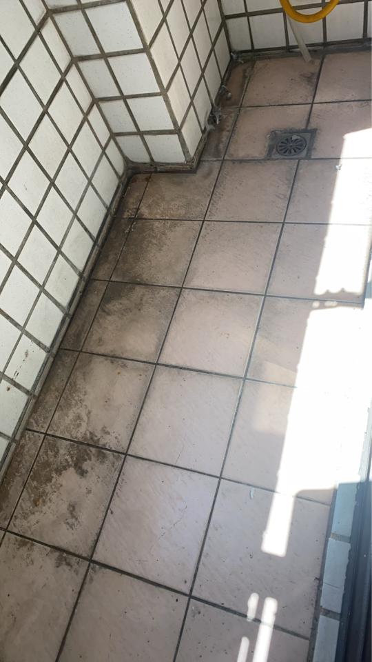 抓漏案件圖片