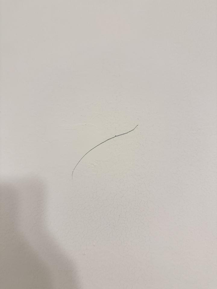 油漆工程案件圖片