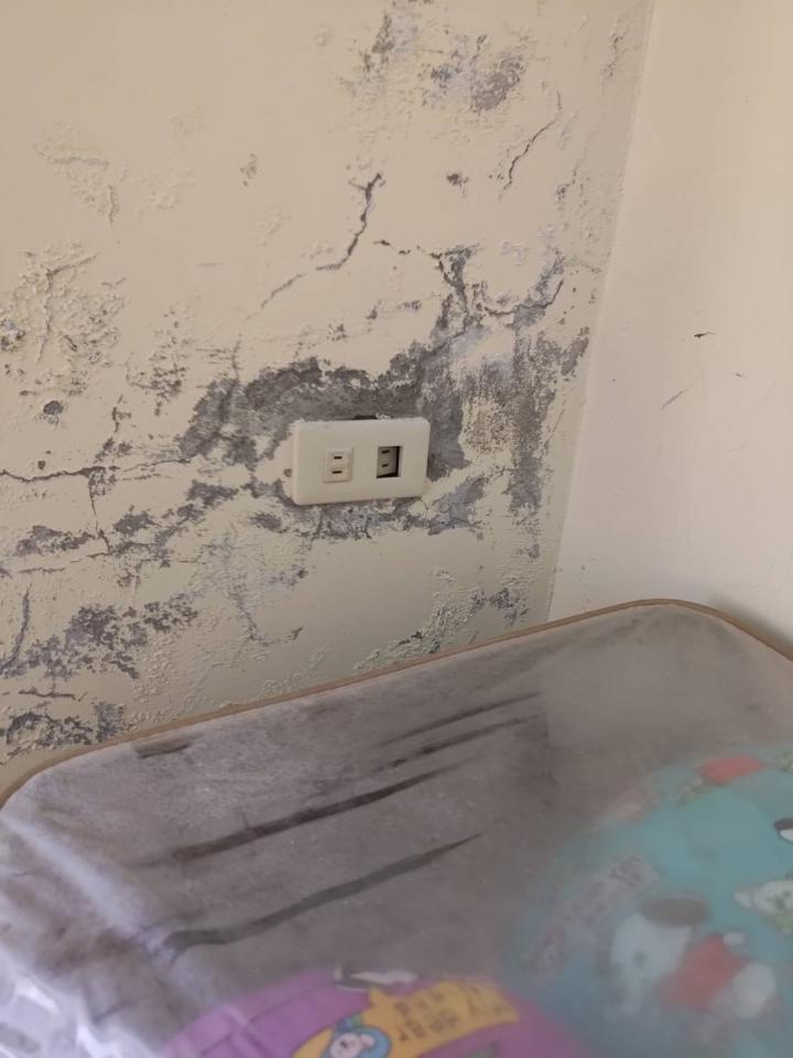 抓漏案件圖片