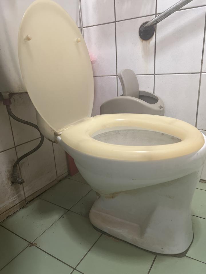 馬桶裝修案件圖片